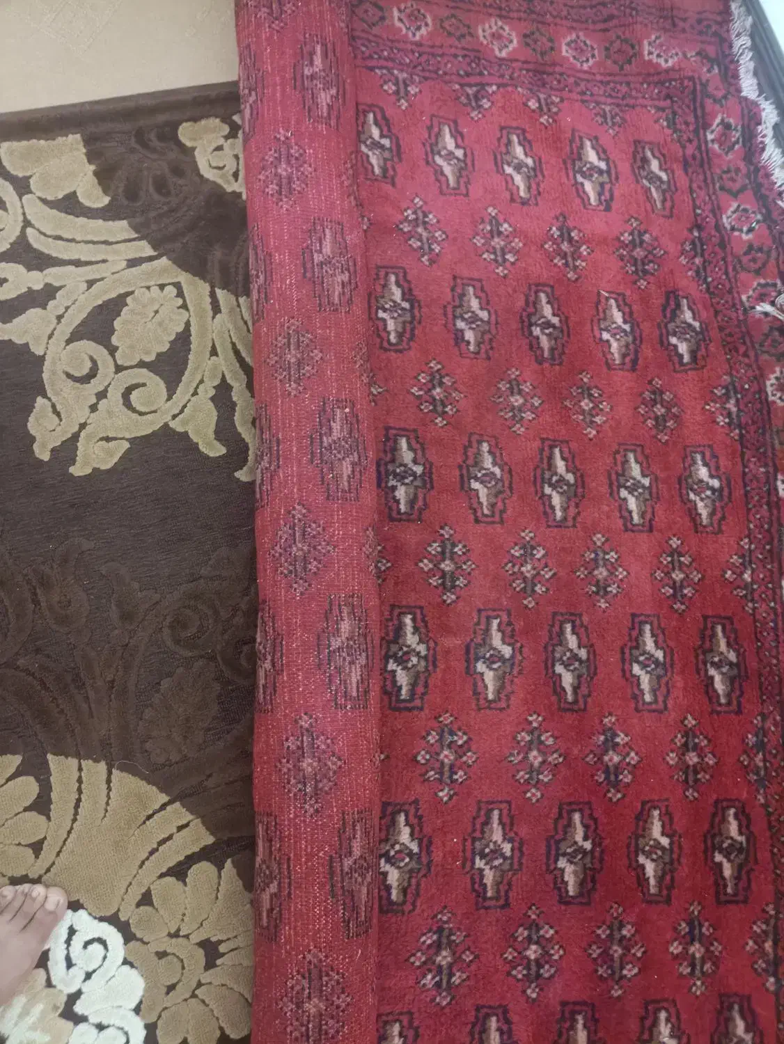 فرش|فرش|دلند, |دیوار