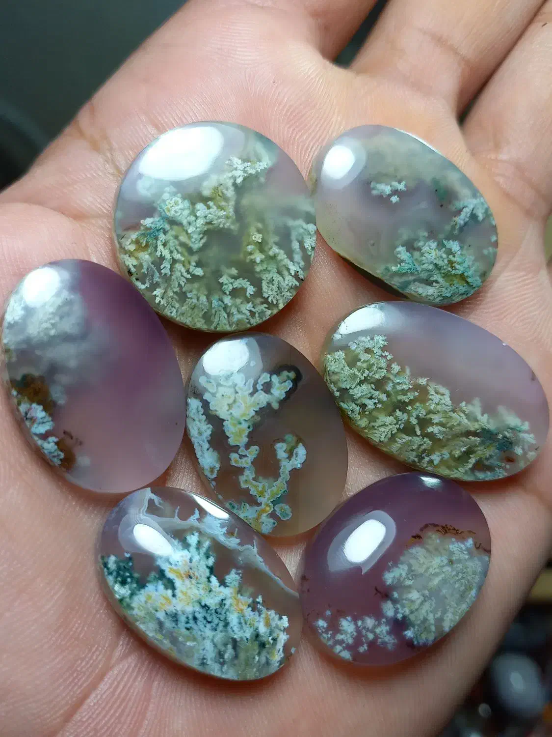 مجموعه ۷عددی  شجر شکوفه فردوس|جواهرات|آیسک, |دیوار