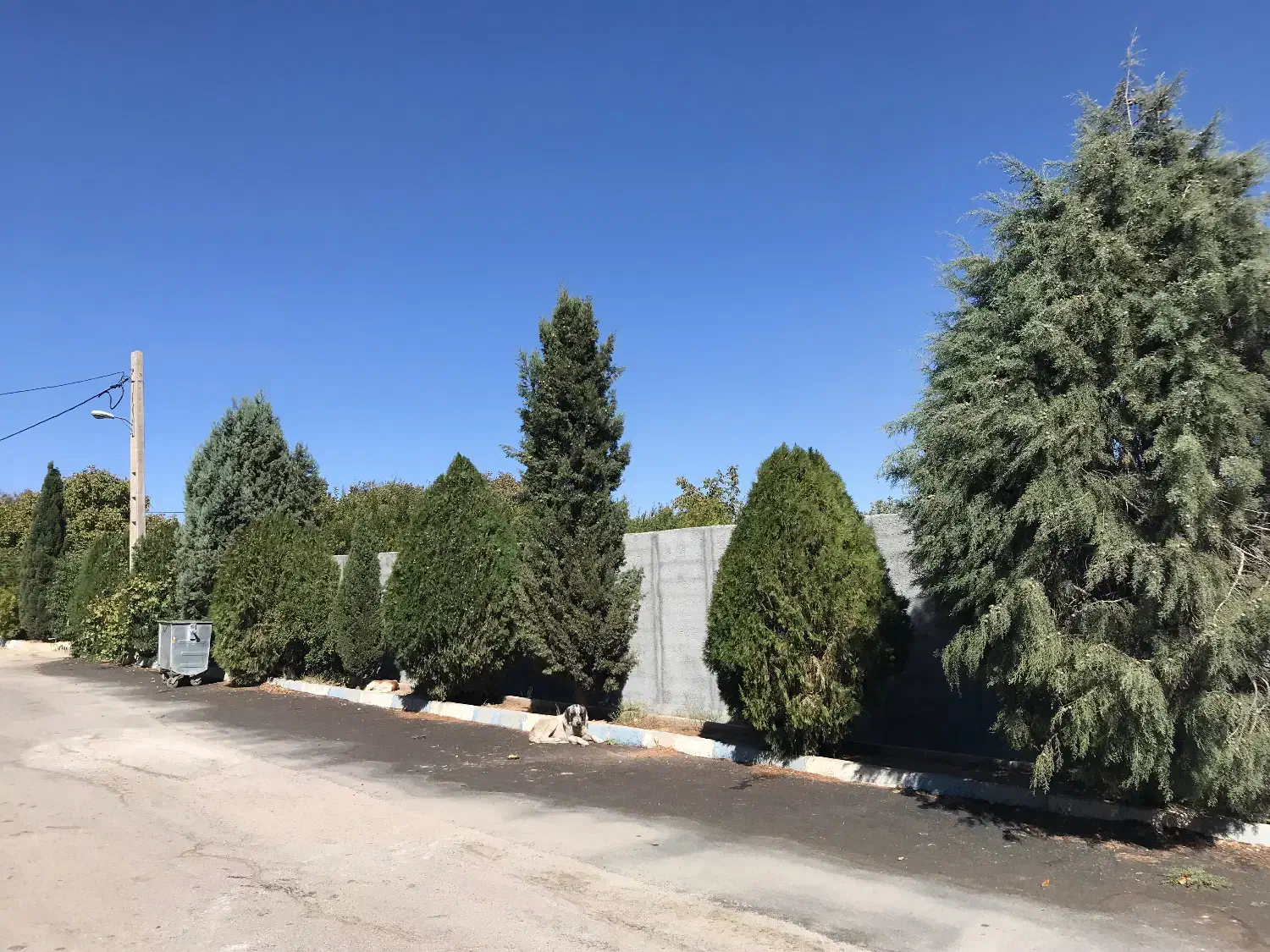 زمین دیوار کشی مسکونی با پروانه ساخت|فروش زمین و ملک کلنگی|مبارکه, |دیوار