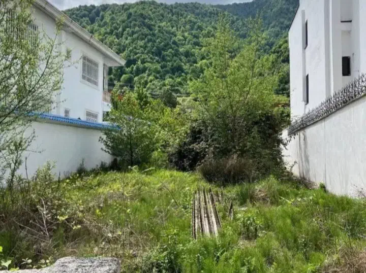 یه ویلای دنج تواین زمین جنگلی توشمال بساز باشرایط|فروش زمین و ملک کلنگی|رامسر, |دیوار