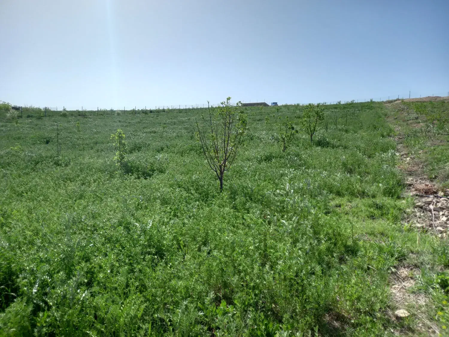 فروشی|فروش دفتر صنعتی، کشاورزی، تجاری|اهر, |دیوار