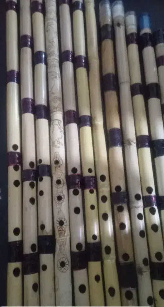 ساز نی دندانی ولبی حرفه ای۲۰۰|سازهای بادی|دزفول, |دیوار