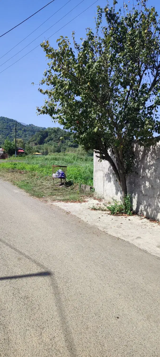 250 متر زمین مناسب ساخت زیر قیمت|فروش زمین و ملک کلنگی|املش, |دیوار