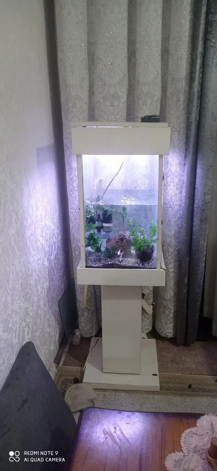 آکواریوم کامل با وسایل 2تومن|ماهی|قرچک, زیبا شهر|دیوار