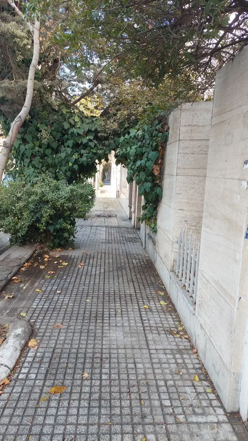 تبریک|فعالیت داوطلبانه|تهران, دانشگاه شریف|دیوار