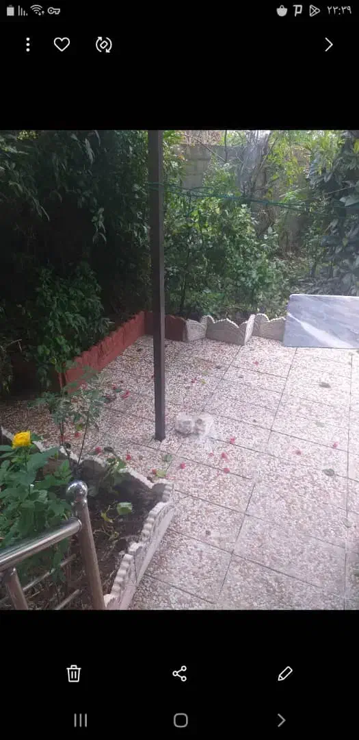 اجاره خانه مسکونی حیاط دار در خمام|اجارهٔ خانه و ویلا|خمام, |دیوار