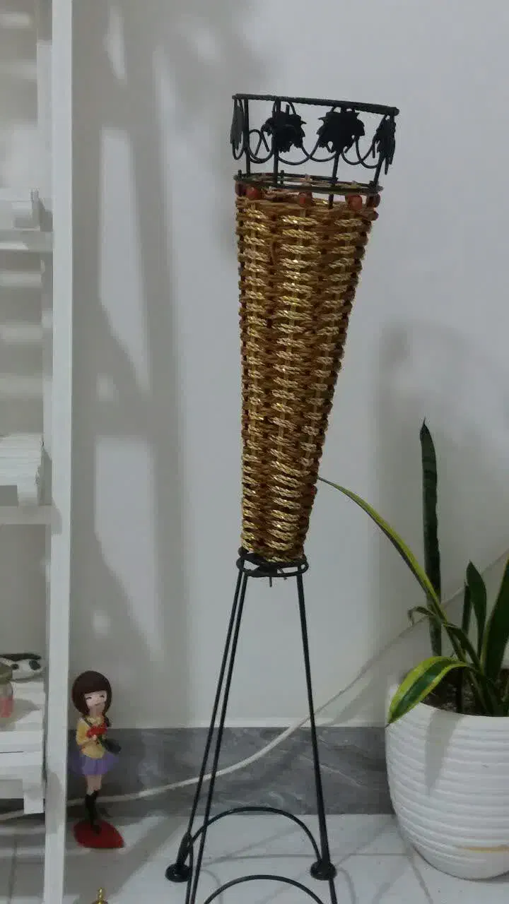 یک عدد گلدان|گل و گیاه طبیعی|رشت, چمارسرا|دیوار