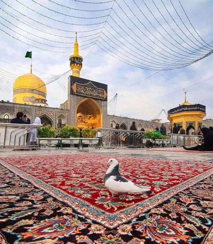 سفر به مشهد به آسانی پلک زدن|تور و چارتر|قم, بلوار امین و ساحلی|دیوار