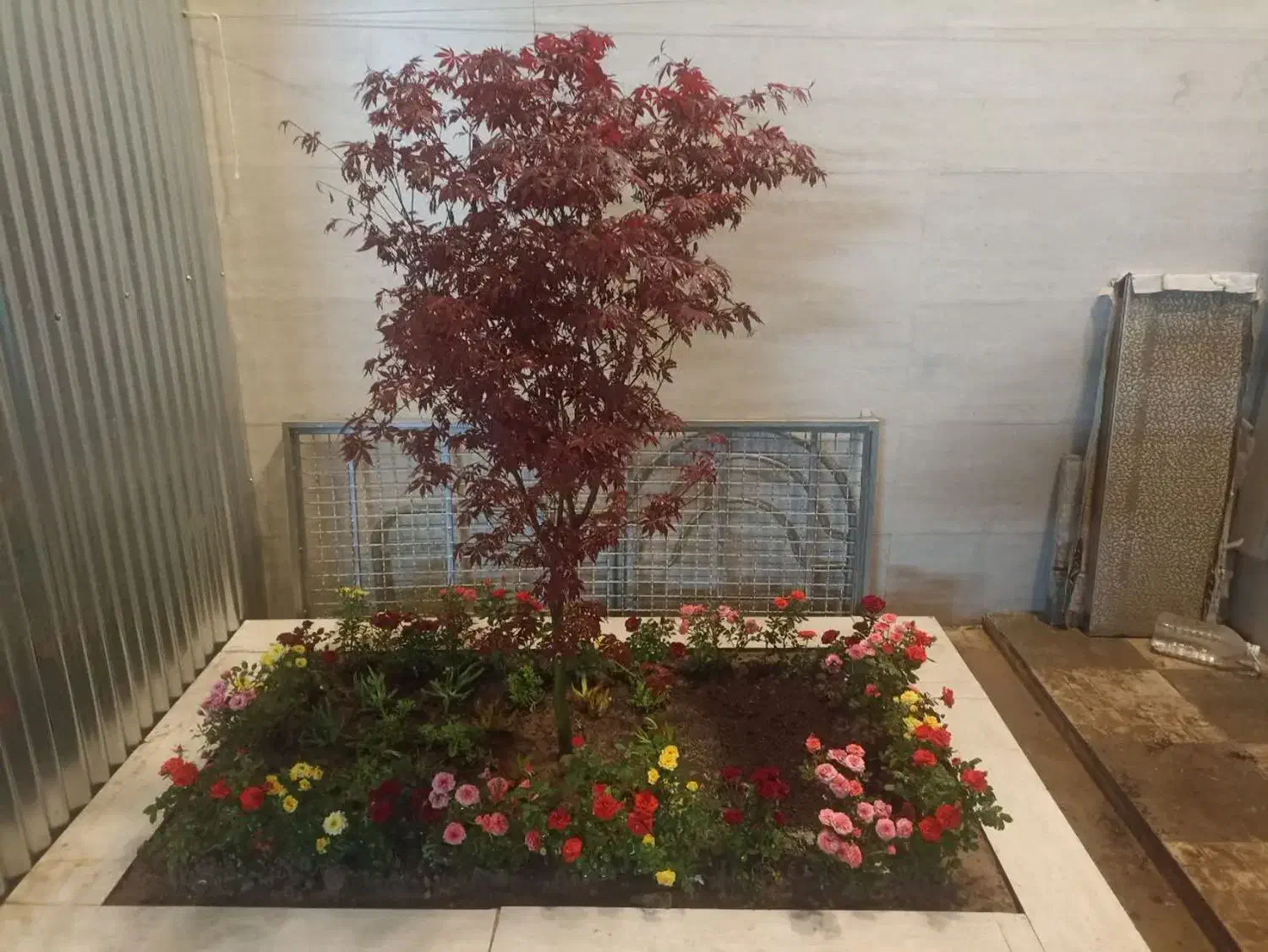 باغبانی .هرس. کودهی. تعویض خاک .|خدمات باغبانی و درختکاری|مشهد, کوثر|دیوار