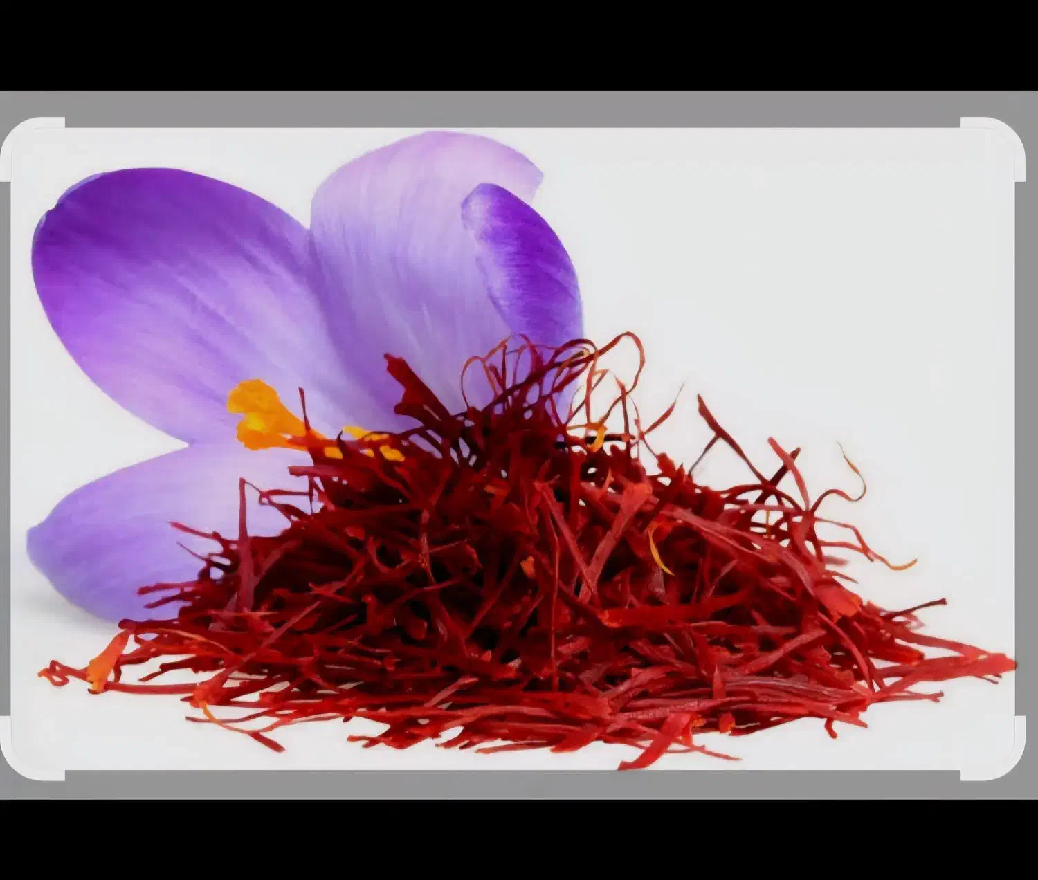 خوشکن زعفران باهنر نرسیده به ورودی پارک ملت|خوردنی و آشامیدنی|تربت‌حیدریه, شهرک ولیعصر|دیوار