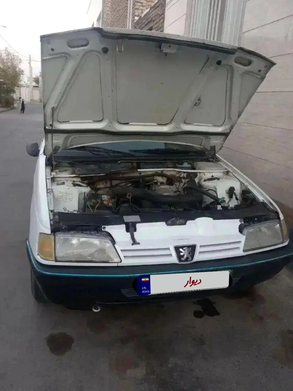 پژو RD سفید مدل ۸۲ دوگانه CNG فروش فوری|خودرو سواری و وانت|بیرجند, |دیوار