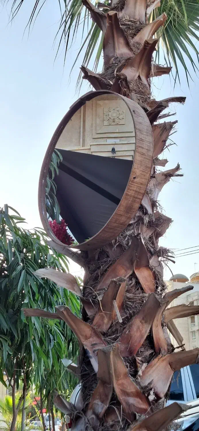 آینه دایرهای|آینه|بندرعباس, |دیوار