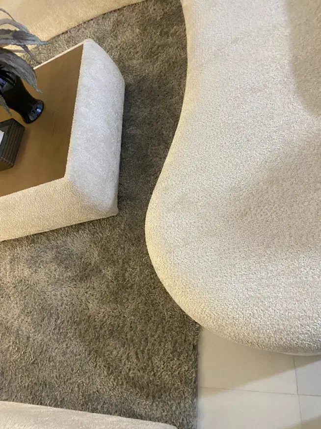 یک عدد فرش ۶ متری شگی رنگ موشی|فرش|بجنورد, |دیوار