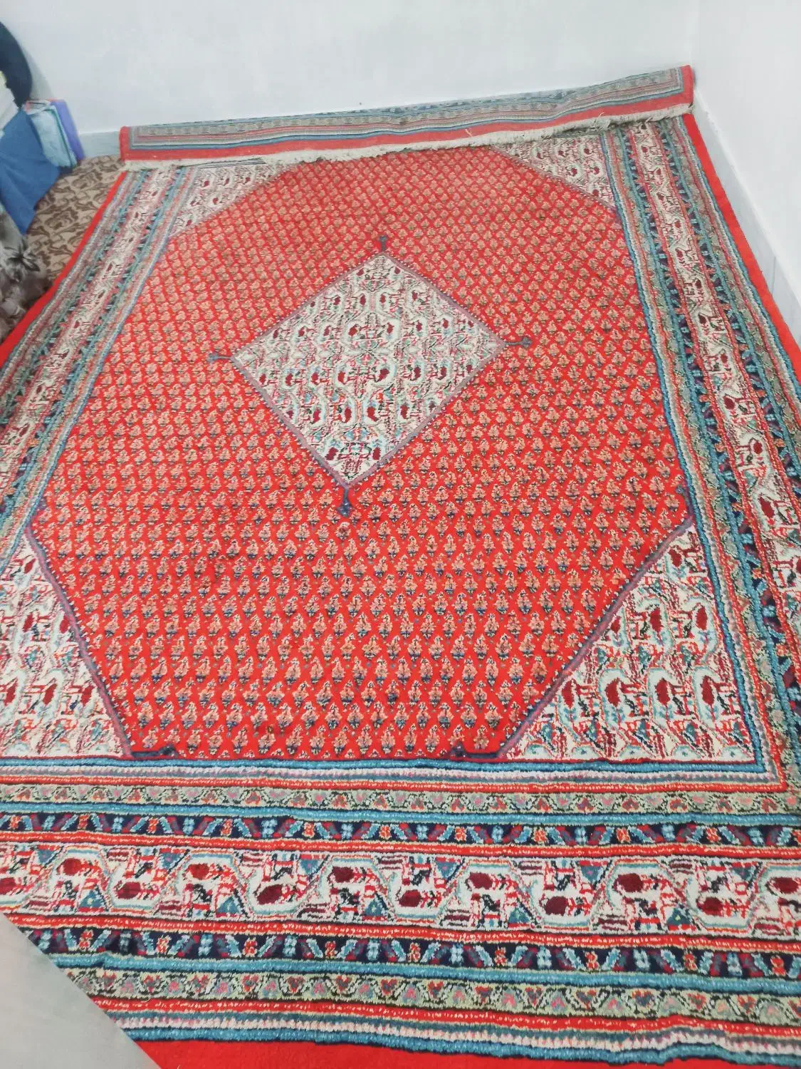 فرش دستبافت ۹ متری گل بوته اراک گوشت دار پر کرک|فرش|بروجرد, |دیوار