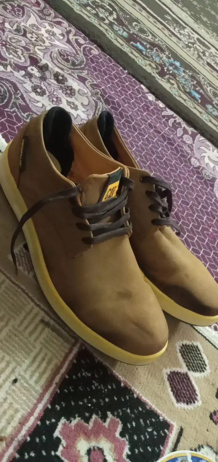 کفش|کیف، کفش، کمربند|مشهد, قائم|دیوار