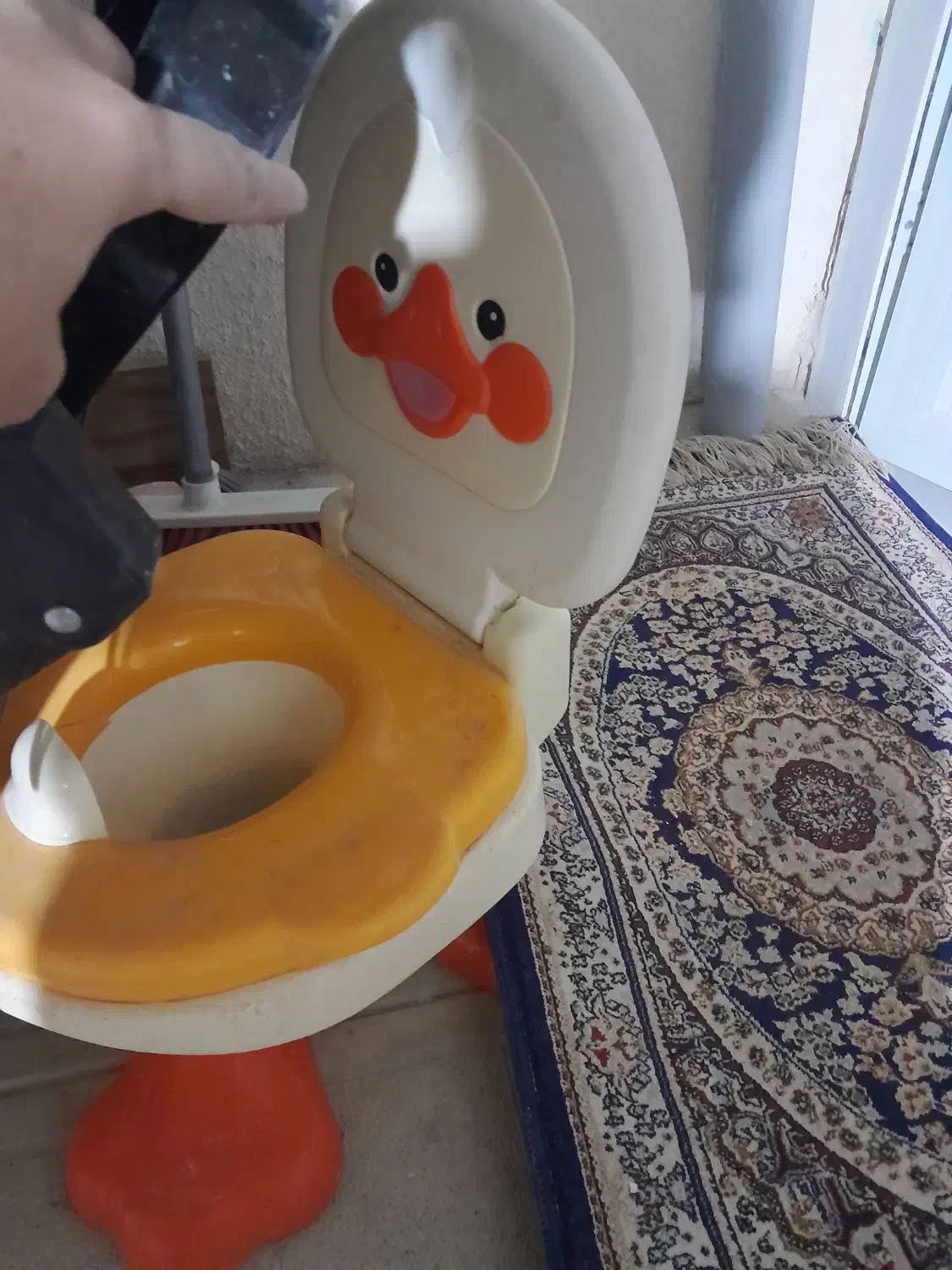 کالسکه|کالسکه و لوازم جانبی|تهران, طیب|دیوار