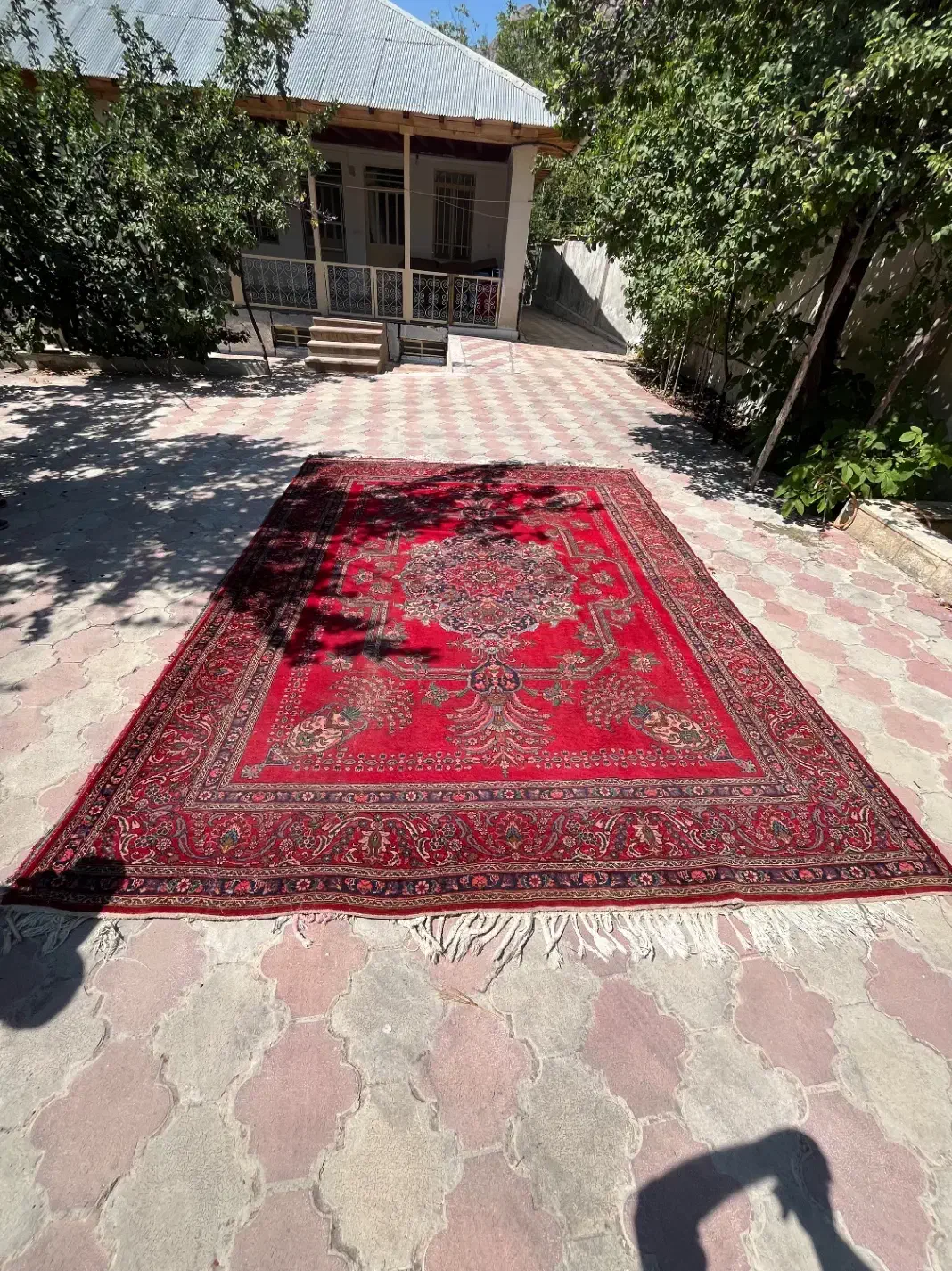 فرش دستباف ۱۲ متره|فرش|سمنان, |دیوار