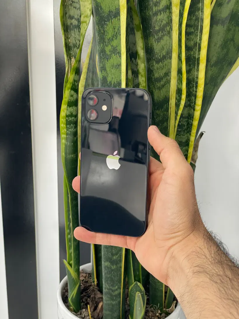 آیفون iPhone|موبایل|بیرجند, |دیوار