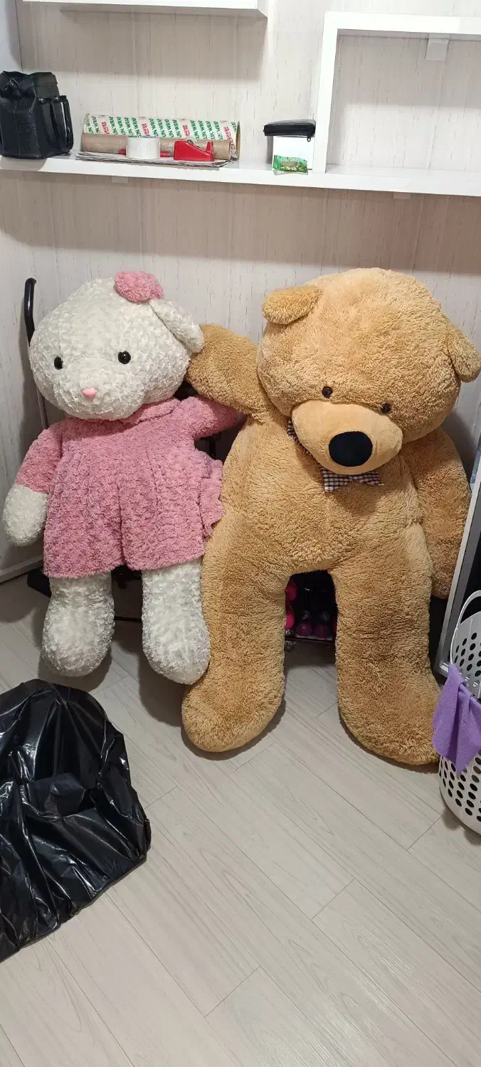 شاسخین|اسباببازی بچه|تهران, سلسبیل شمالی|دیوار