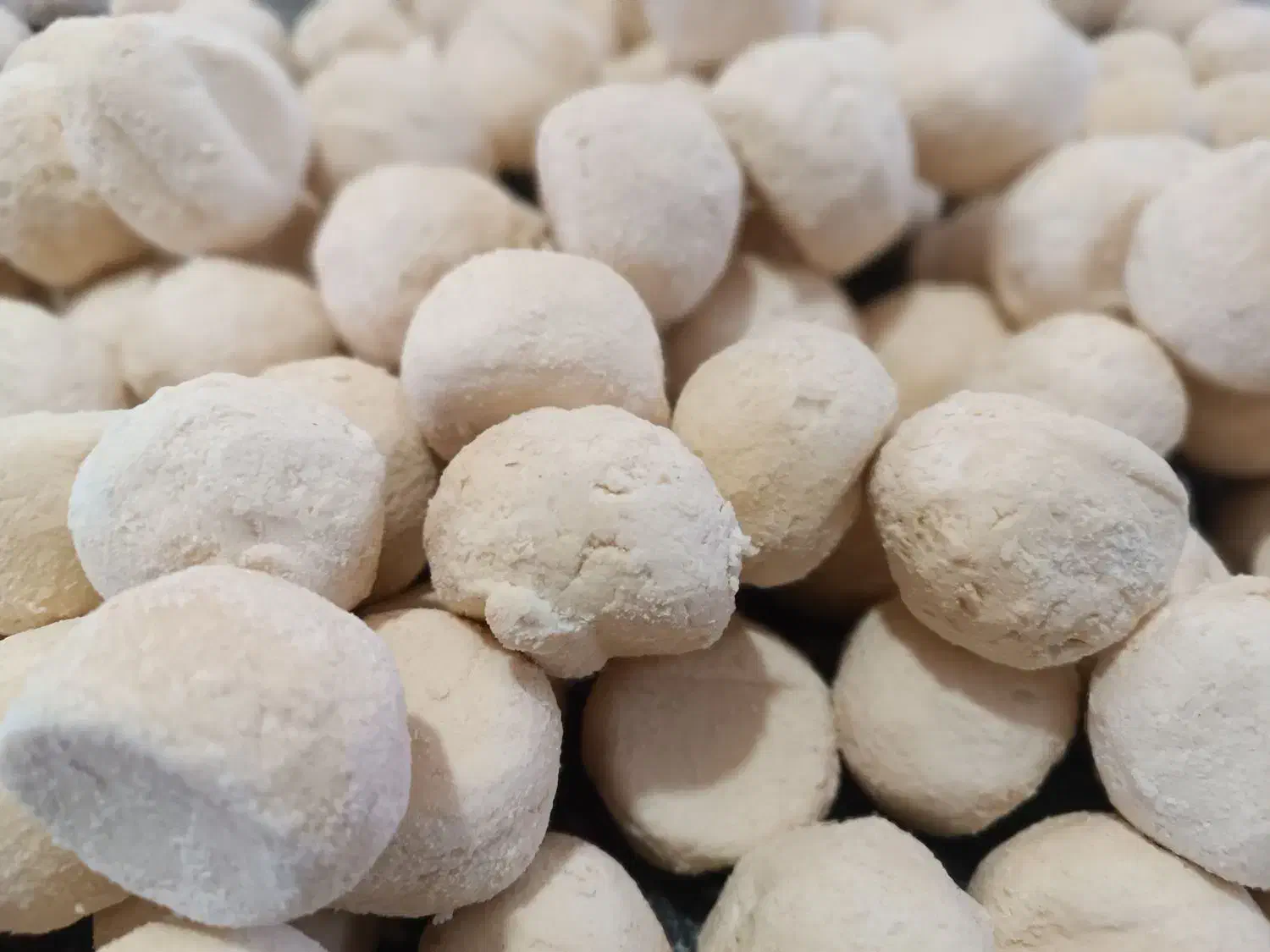 کشکی|حراج|کرمان, |دیوار