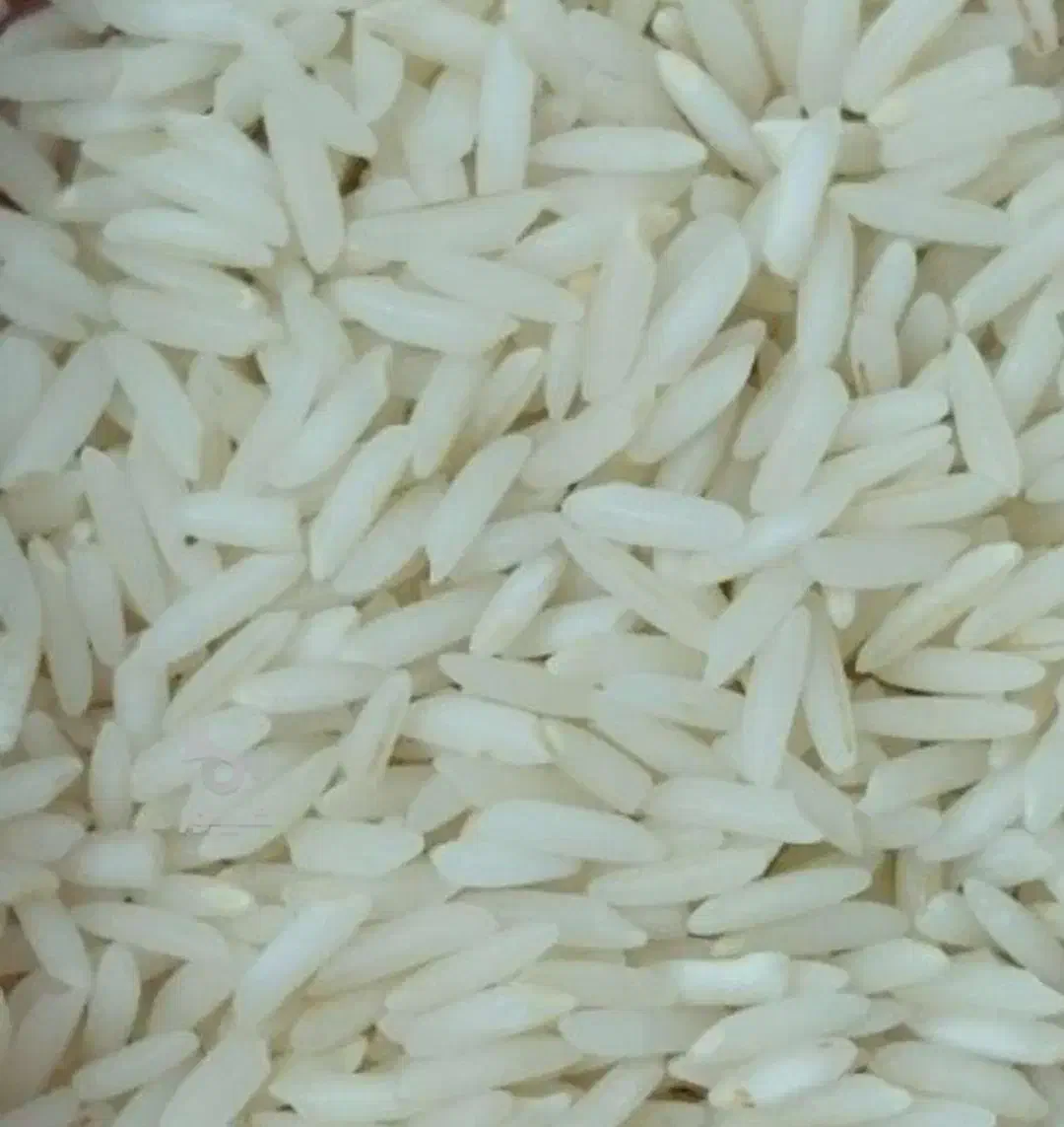 فروش برنج هاشمی سورتینگ شده و عالی یشرط|خوردنی و آشامیدنی|رشت, رشتیان|دیوار