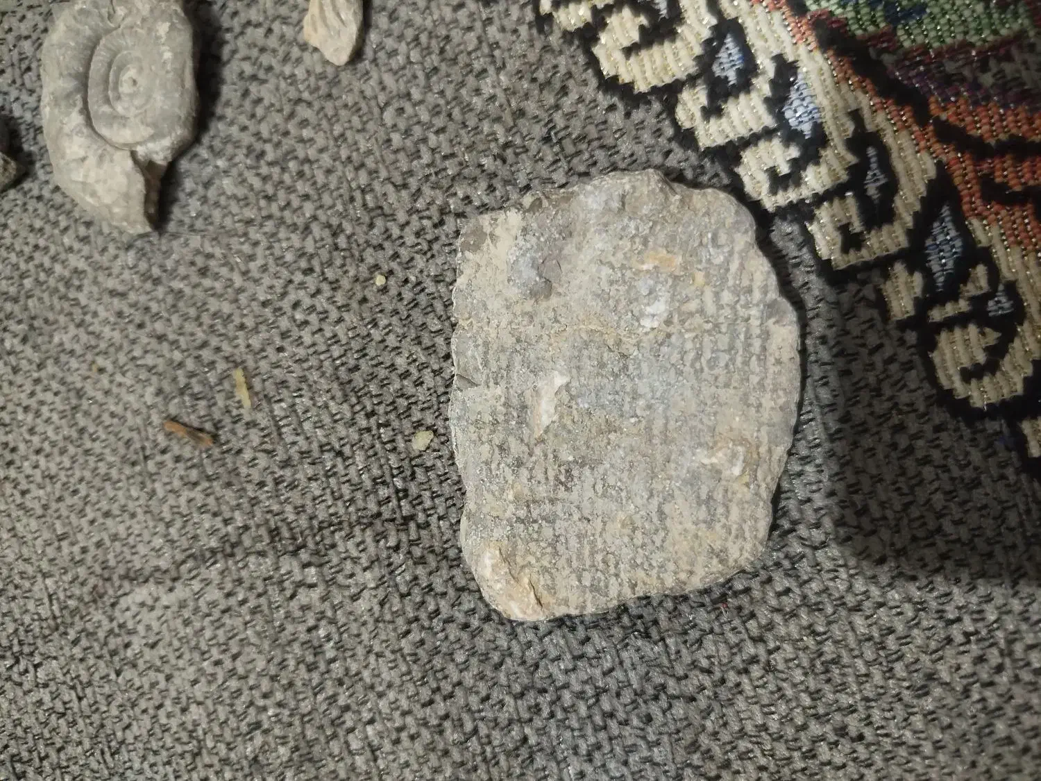 سنگ فسیل|کلکسیون اشیاء عتیقه|فاضل آباد, |دیوار