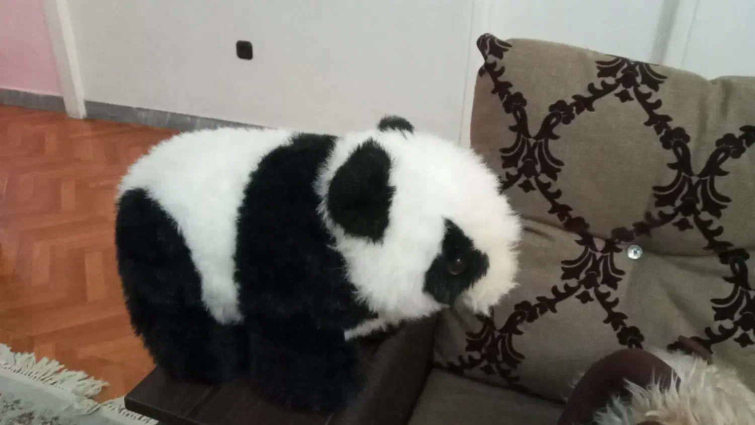 اسباب بازی عروسکی|اسباب‌بازی بچه|تهران, شهران شمالی|دیوار