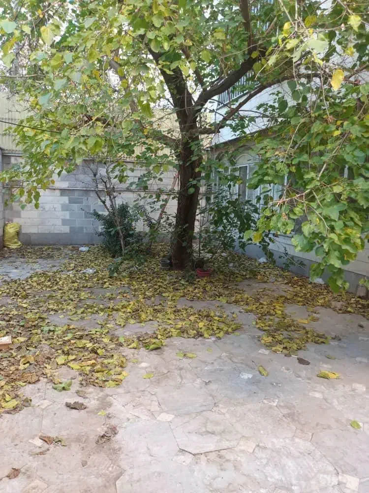 خوابگاه پسرانه همراه|اجارهٔ کوتاه‌مدت آپارتمان و سوئیت|تهران, ایرانشهر|دیوار