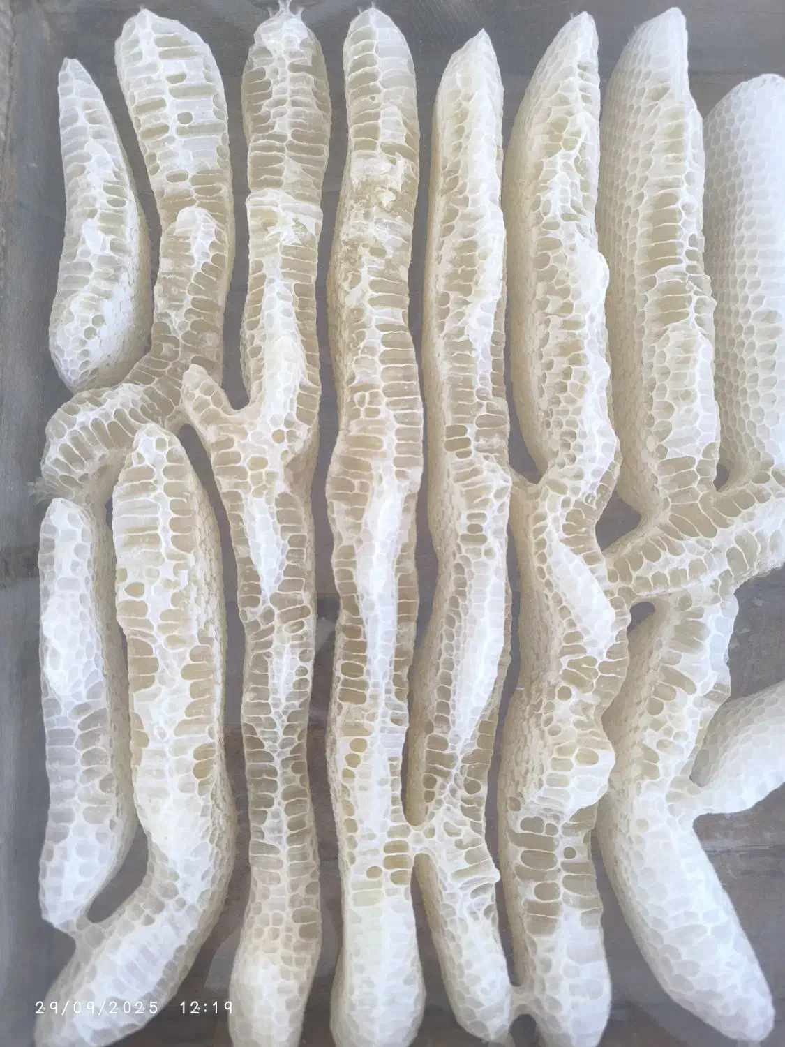 عسل طبیعی|خوردنی و آشامیدنی|نجفآباد, سعدی|دیوار