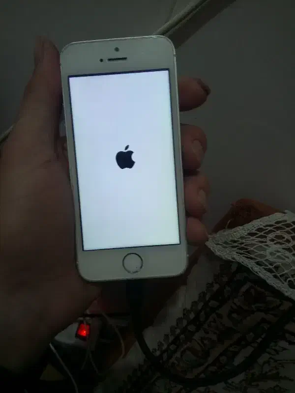 ایفون 5s 16|موبایل|مشهد, شهید قربانی|دیوار