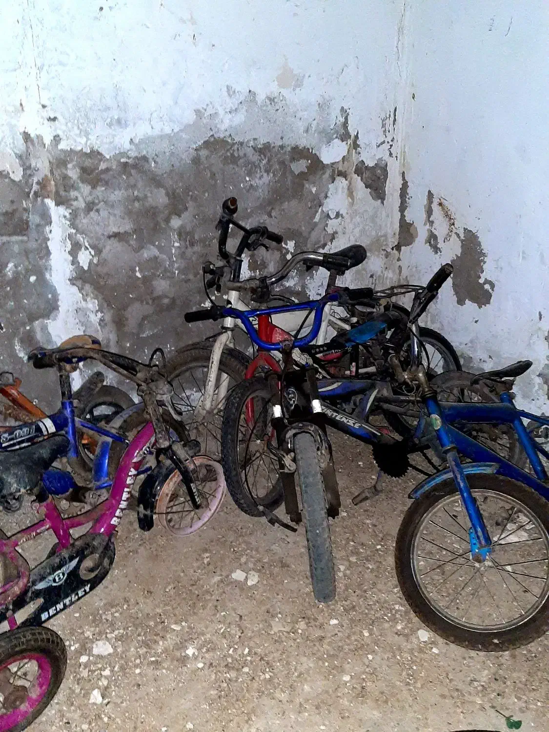 دوچرخه|دوچرخه، اسکیت، اسکوتر|کارون, |دیوار