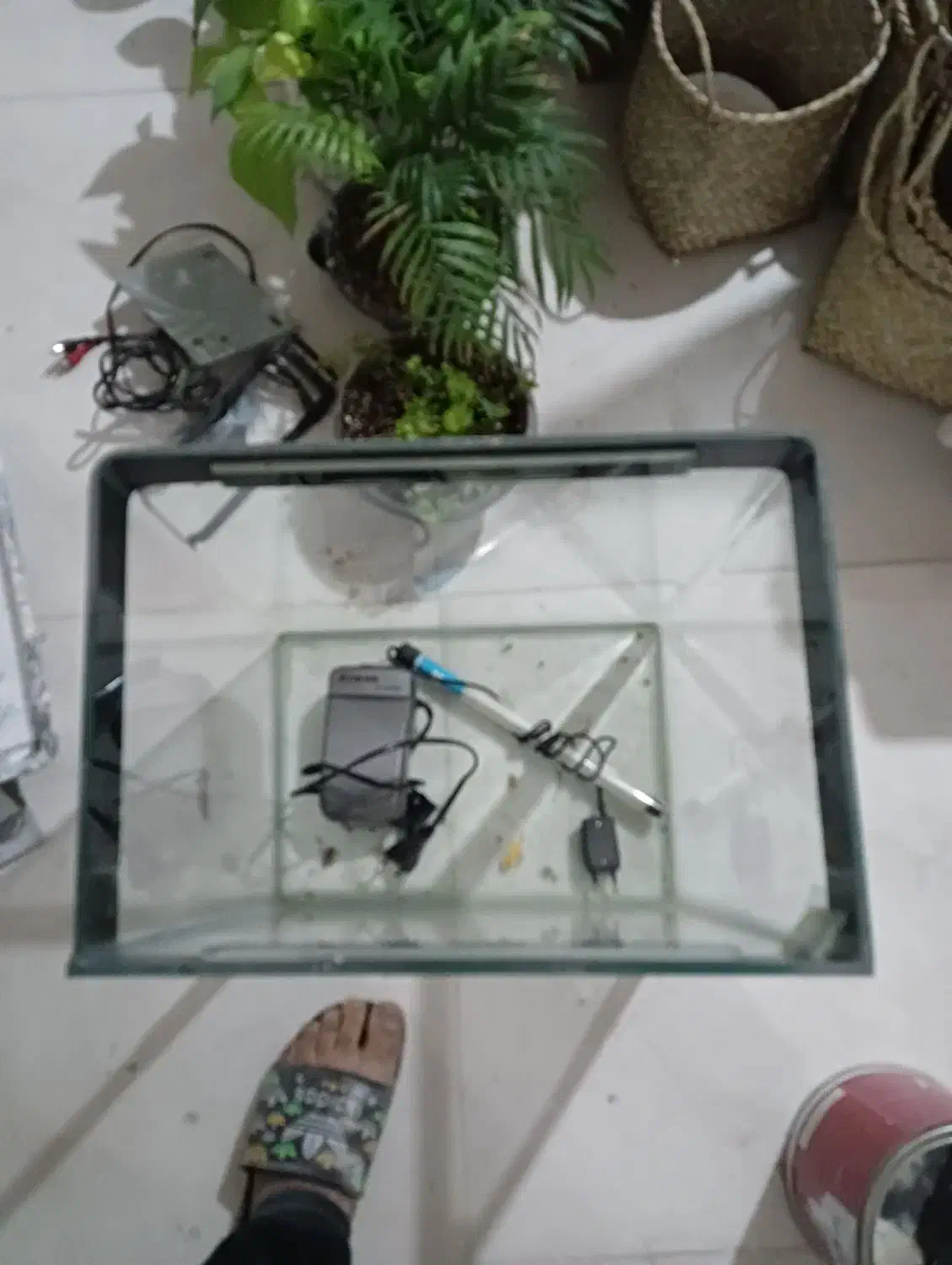 آکواریوم شیشه جلو خم شیک|ماهی|بومهن, |دیوار