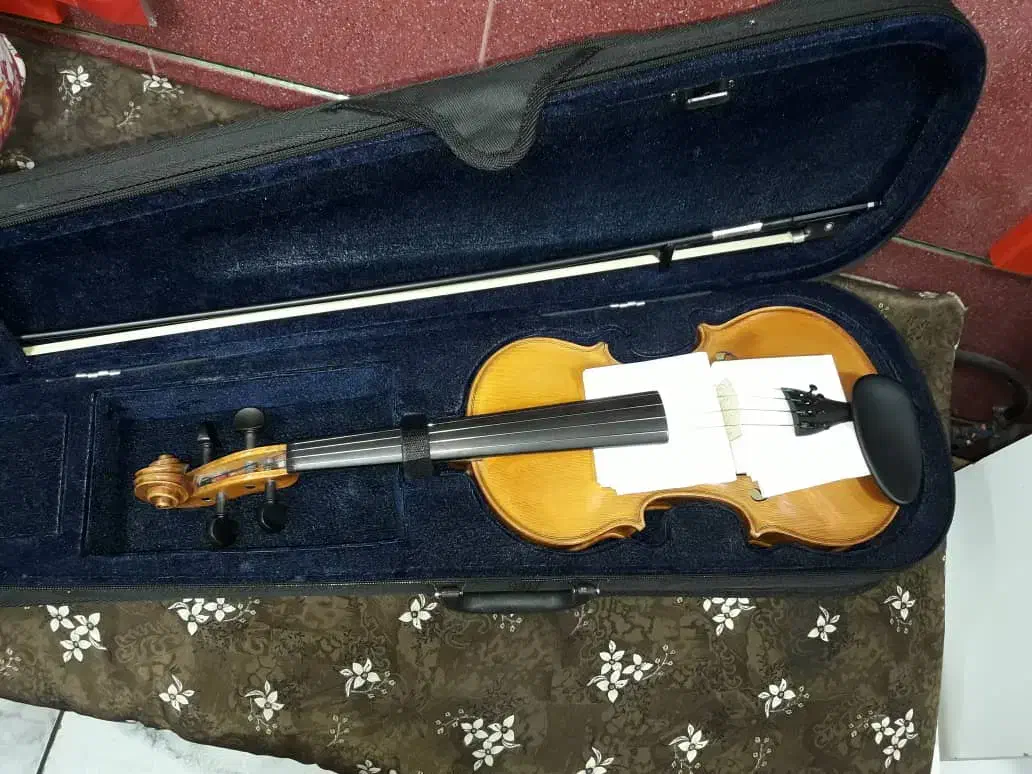 ویلون دست ساز آقای جمشید روستایی|ویولن|تهران, بلورسازی|دیوار