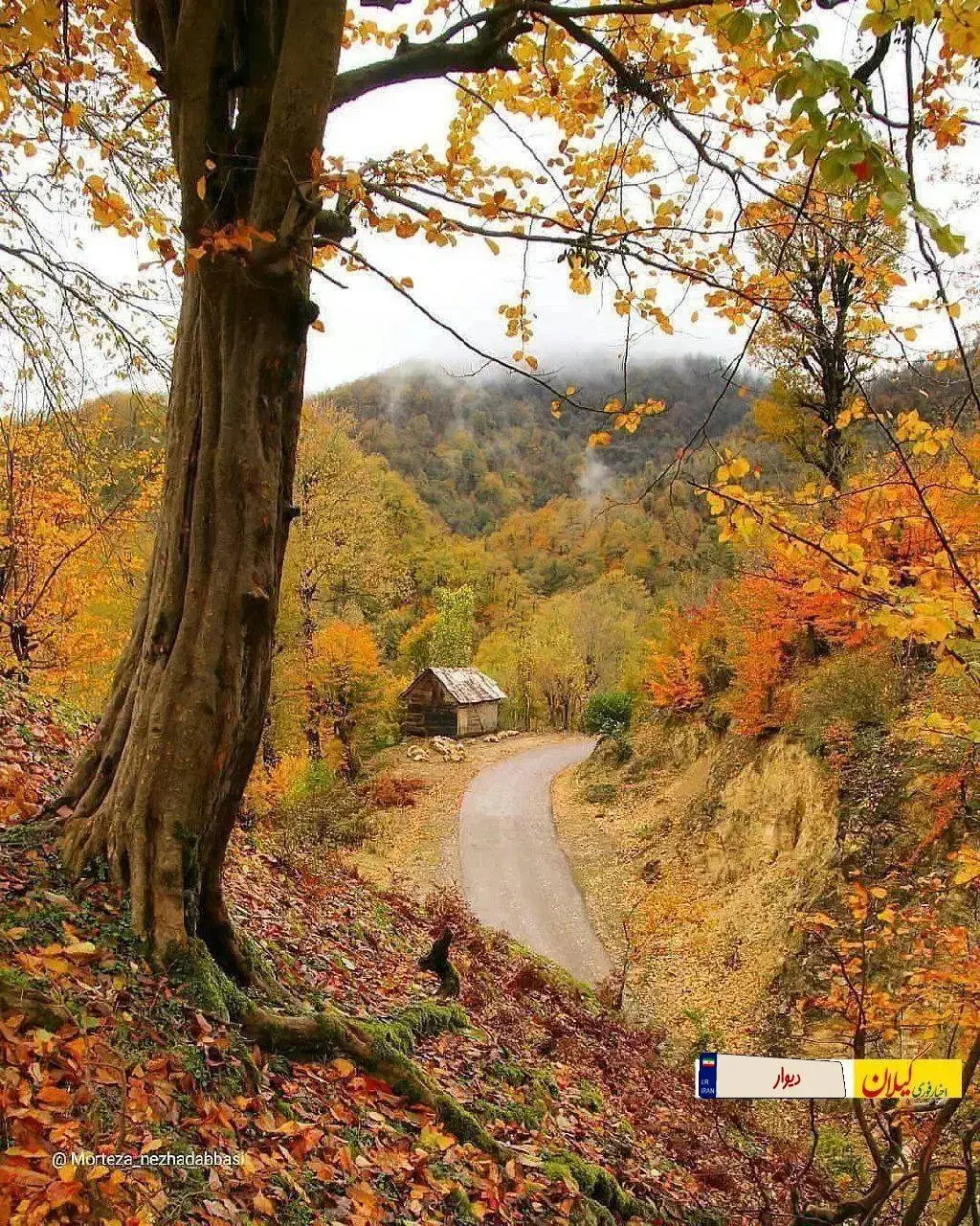 حواله سورن پلاس|خودرو سواری و وانت|کرمانشاه, |دیوار