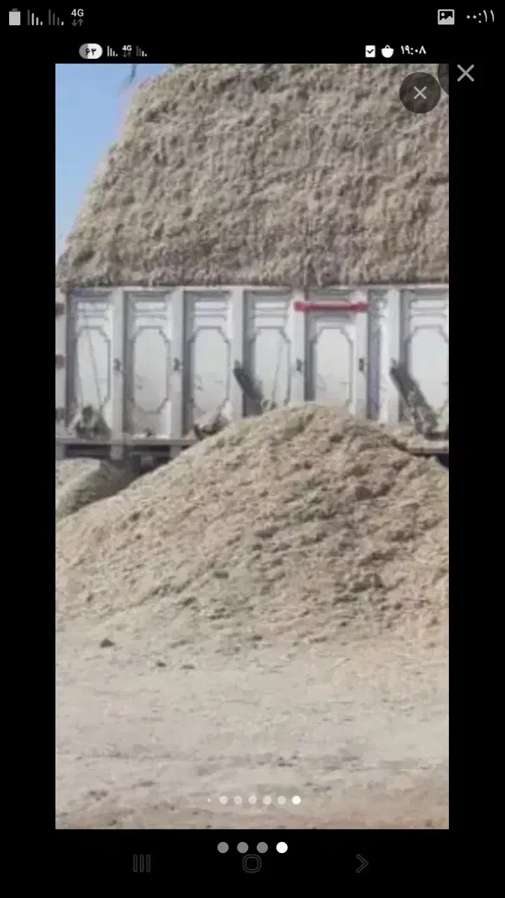 کاه نیشکر.جایگزین کاه سفید.باقیمت مناسب|لوازم جانبی حیوانات|داران, |دیوار