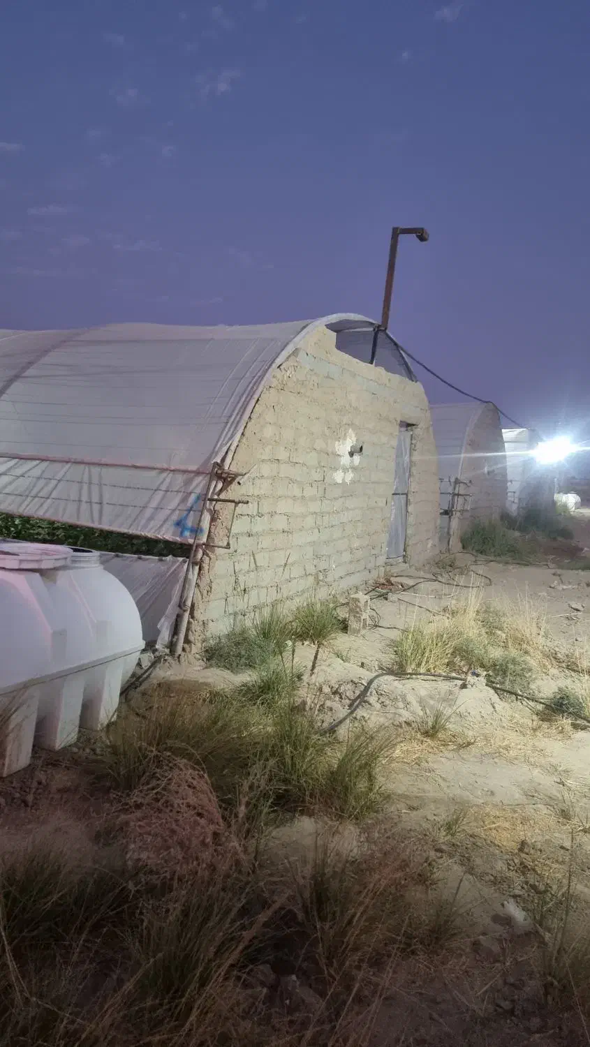 فروش گلخانه|خدمات باغبانی و درختکاری|زهک, |دیوار