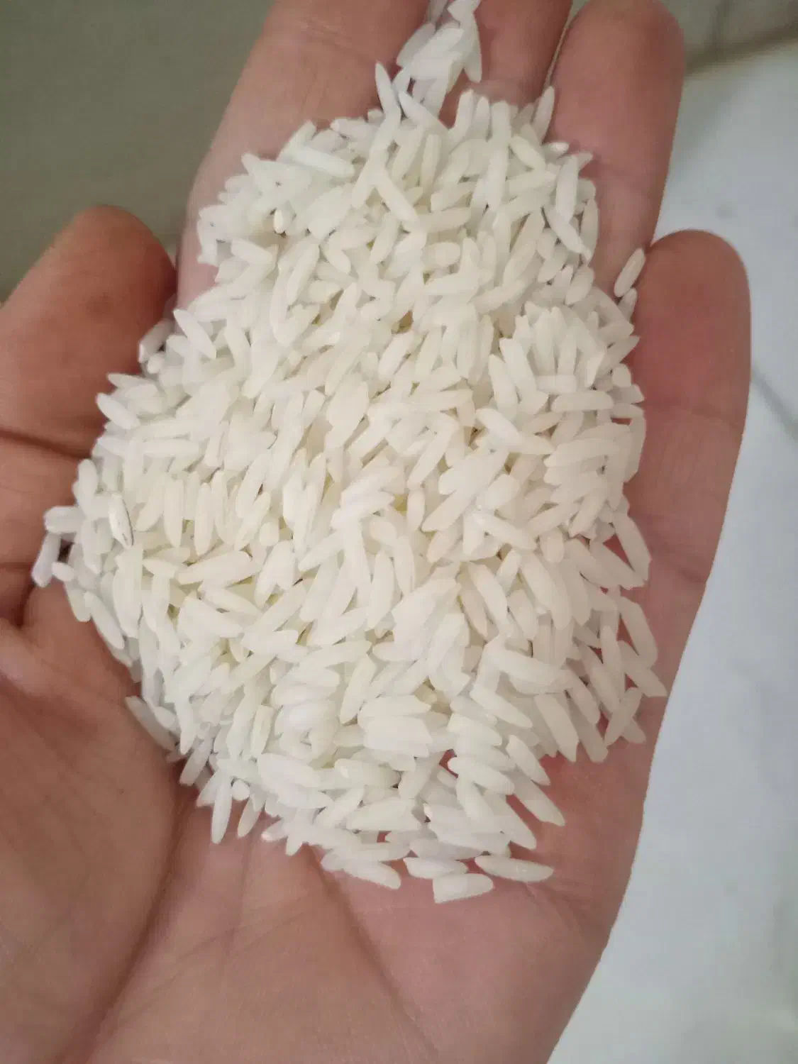 برنج هاشمی اصل|خوردنی و آشامیدنی|هشتگرد, شهرک وحدت|دیوار