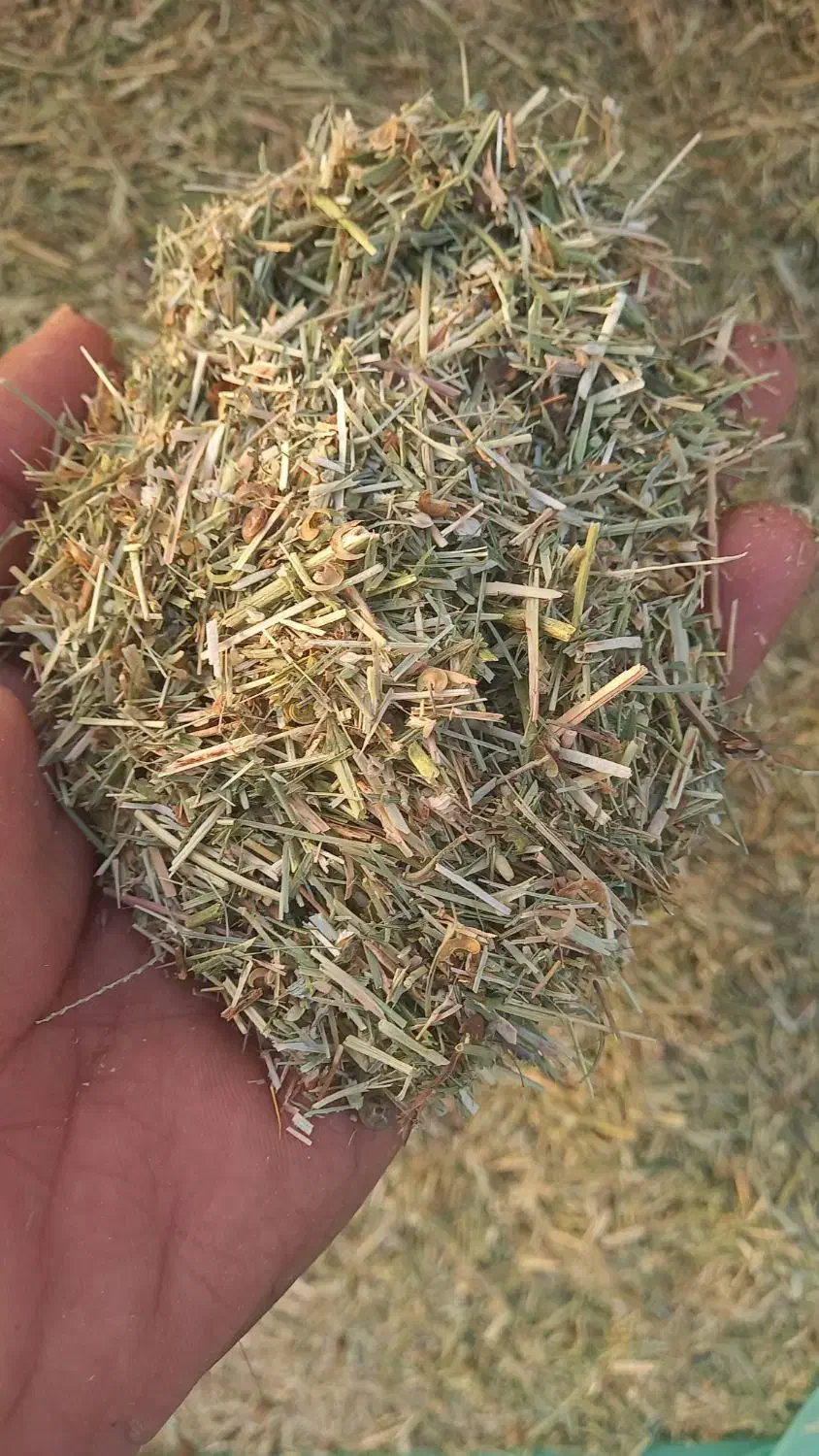 یونجه|لوازم جانبی حیوانات|قلعه گنج, |دیوار