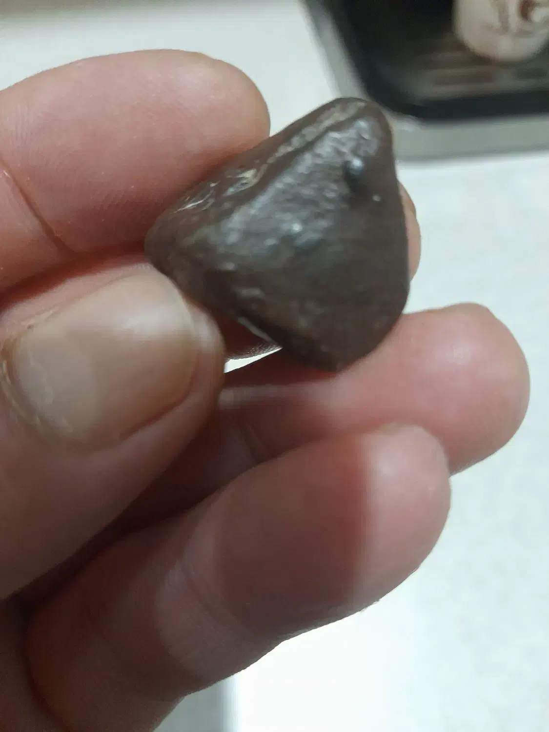 شهاب سنگ واقعی|کلکسیون اشیاء عتیقه|آبیک, |دیوار