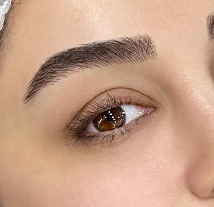 مدل محدود میکروبلیدینگ ابرو|خدمات آرایشگری و زیبایی|تهران, دروس|دیوار