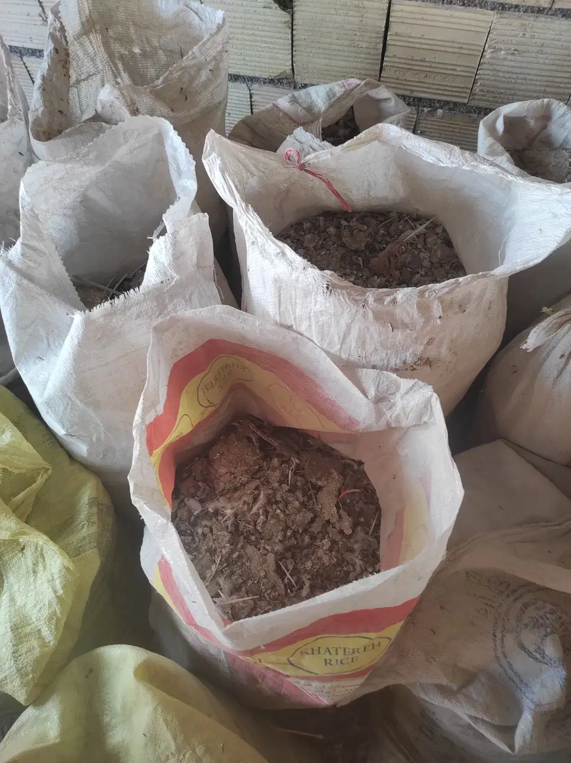 کود کبوتر|خدمات باغبانی و درختکاری|لنجان, |دیوار