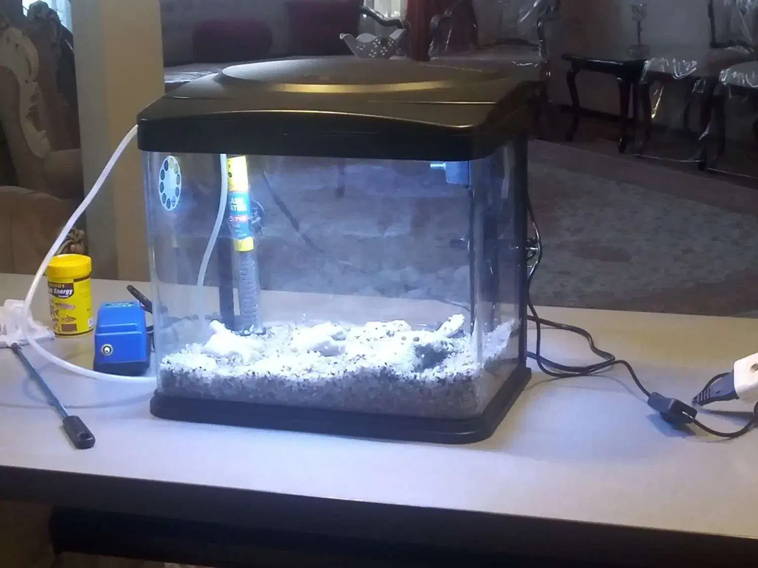 آکواریوم شرکتی شیشه خم|ماهی|فردیس, نگارستان|دیوار