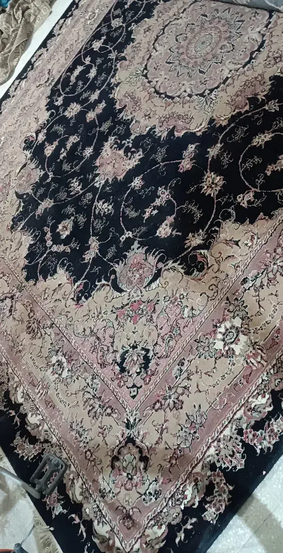 فرش 500 شانه|فرش|سبزوار, رضوان|دیوار