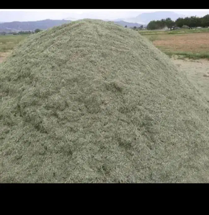 علف گزره|حیوانات مزرعه|جوانرود, |دیوار