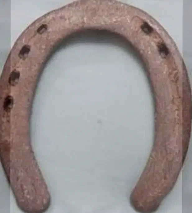 سلام به تمام عشقبازان نعل اسب پاخورده قابل استفاده|اسب و تجهیزات اسبسواری|ماهدشت, |دیوار