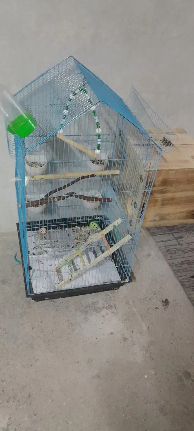 قفس پرنده|لوازم جانبی حیوانات|درگهان, |دیوار