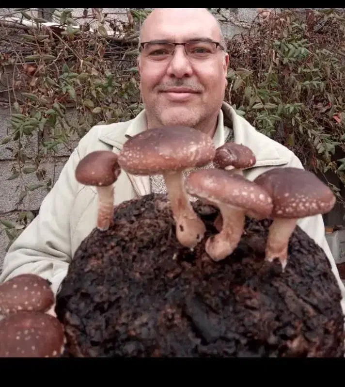 داوطلبانه درمورد تصاویر اگهی راهنمایی میکنم|فعالیت داوطلبانه|اراک, |دیوار