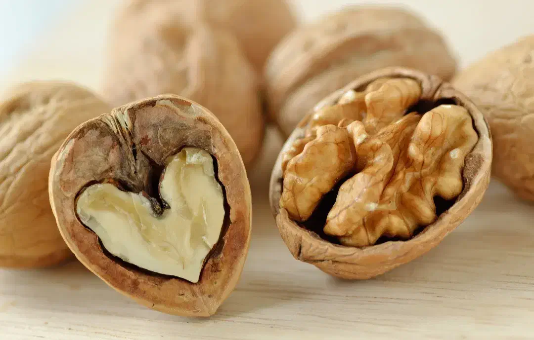 گردو تازه امسالی|خوردنی و آشامیدنی|حمیدیا, |دیوار