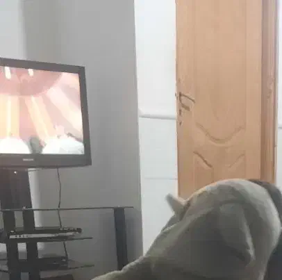 تلویزیون ال سی دی۳۲|تلویزیون و پروژکتور|علی‌آباد کتول, |دیوار