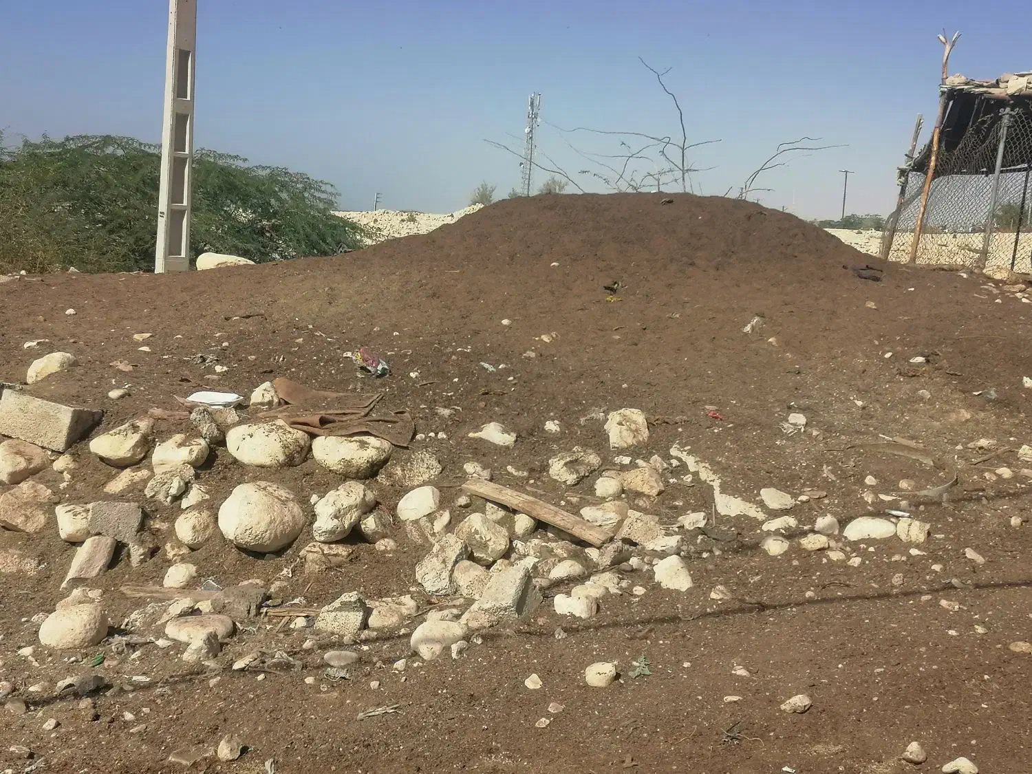 کودحیوانی|خدمات باغبانی و درختکاری|بندر کنگان, |دیوار